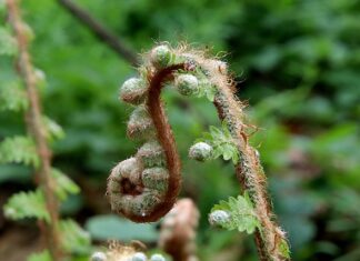 Jak wyprostować maskę aluminiowa?