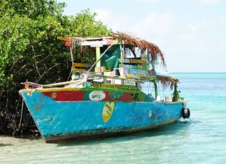 Ile kosztuje wymiana uszczelniaczy na zaworach?