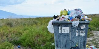 Ile kosztuje usuwanie wgnieceń bez lakierowania?