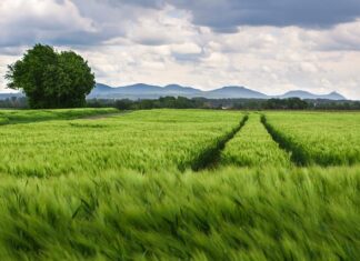 Co trzeba zrobić po wymianie kół?