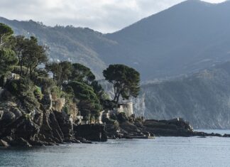 Ile kosztuje wymiana uszczelniaczy zaworowych BMW?