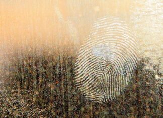 Jaki smar do zacisków hamulcowych i prowadnic?