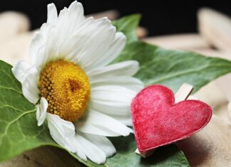 Jak i czym pomalować zaciski hamulcowe?