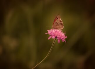 Jak usunąć rdzę z zacisków?