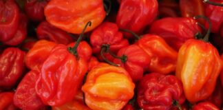 Co ostrzejsze chili czy habanero?