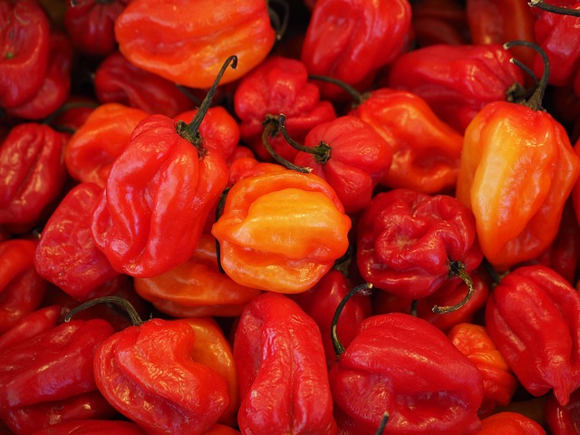 Co ostrzejsze chili czy habanero? Co ostrzejsze chili czy habanero?