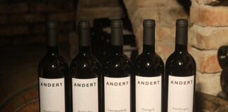 Jak pokazać kotu Kto tu rządzi?