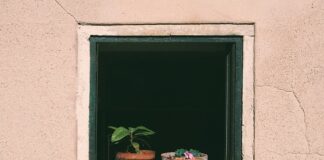 Czy można podlewać kwiaty woda z suszarki?