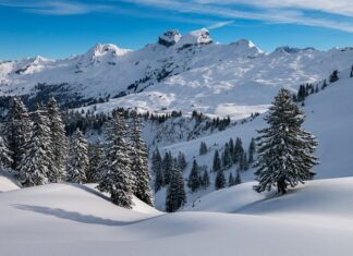 Co zrobić jak zbije się puch w kurtce?