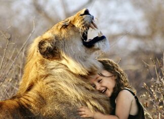 Który jest lepszy GPS TomTom czy Garmin?