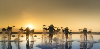 Po co dodaje się sól do kawy?