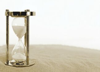 Jak daleko może uciec pies?