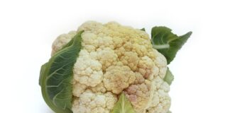 Czy kalafior to owoc?