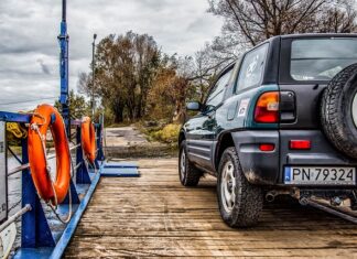 Czy można przewozić psa w bagażniku?