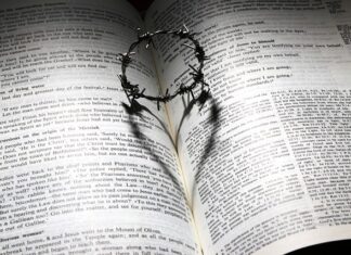 Co to są perełki do prania?