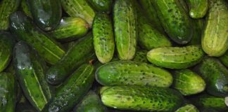 Czy wodą z ogórków kiszonych zakwasza organizm?