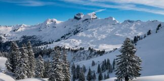 Jak rozbić puch w kurtce po praniu forum?