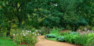 Ile żwirku dla kota na miesiąc?