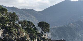 Ile kosztuje 1 godzina gotowania na gazie?