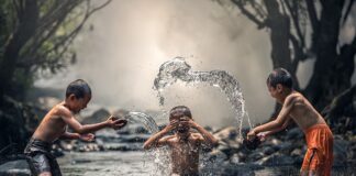 W jakiej wodzie kąpać kota?