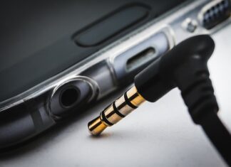 Ile trwa przyzwyczajenie psa do klatki?