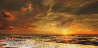 Jakie dania wymyślili Polacy?