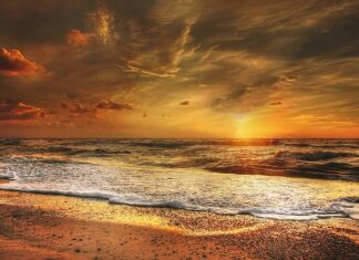 Jakie dania wymyślili Polacy?