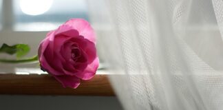 Co zrobić żeby firanki się nie gniotły?