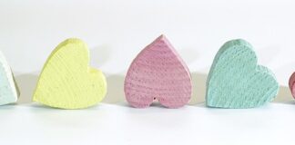 Jaki rozmiar legowiska dla psa shih tzu?