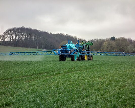 Czy można nawozić rośliny w czasie deszczu?