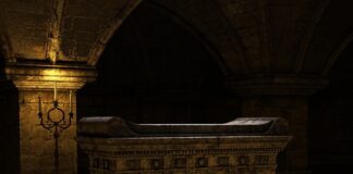 Jak często zmieniać żwirek?