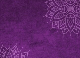 Czy można dostać mandat za psa w samochodzie?