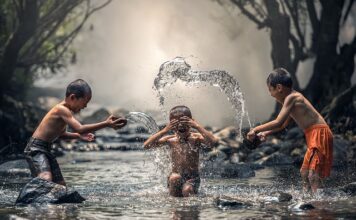 Co ile powinno się kąpać kota?